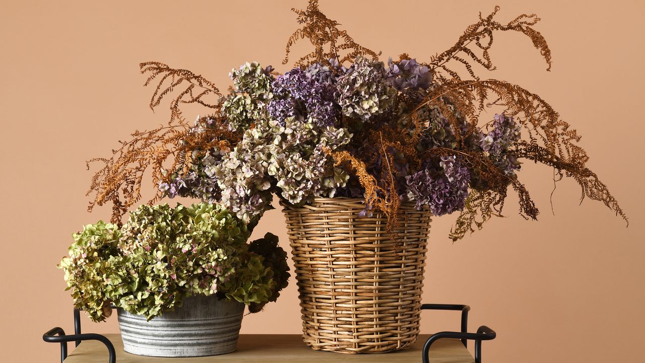 Bouquets of dried hydrangeas on wooden table