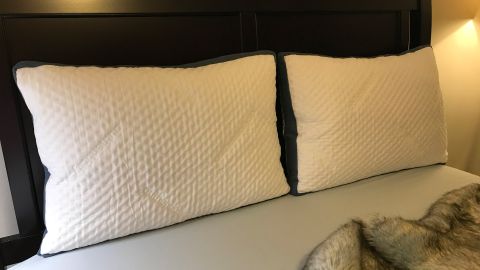 Two Authenticity50 Custom Comfort Pillows side by side against a headboard