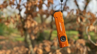 Jetbeam E26-UV Kunai torch on tree