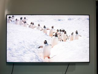Xiaomi Mi QLED TV 4K 55 review