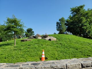 Samsung Galaxy Note 20 Ultra camera roll