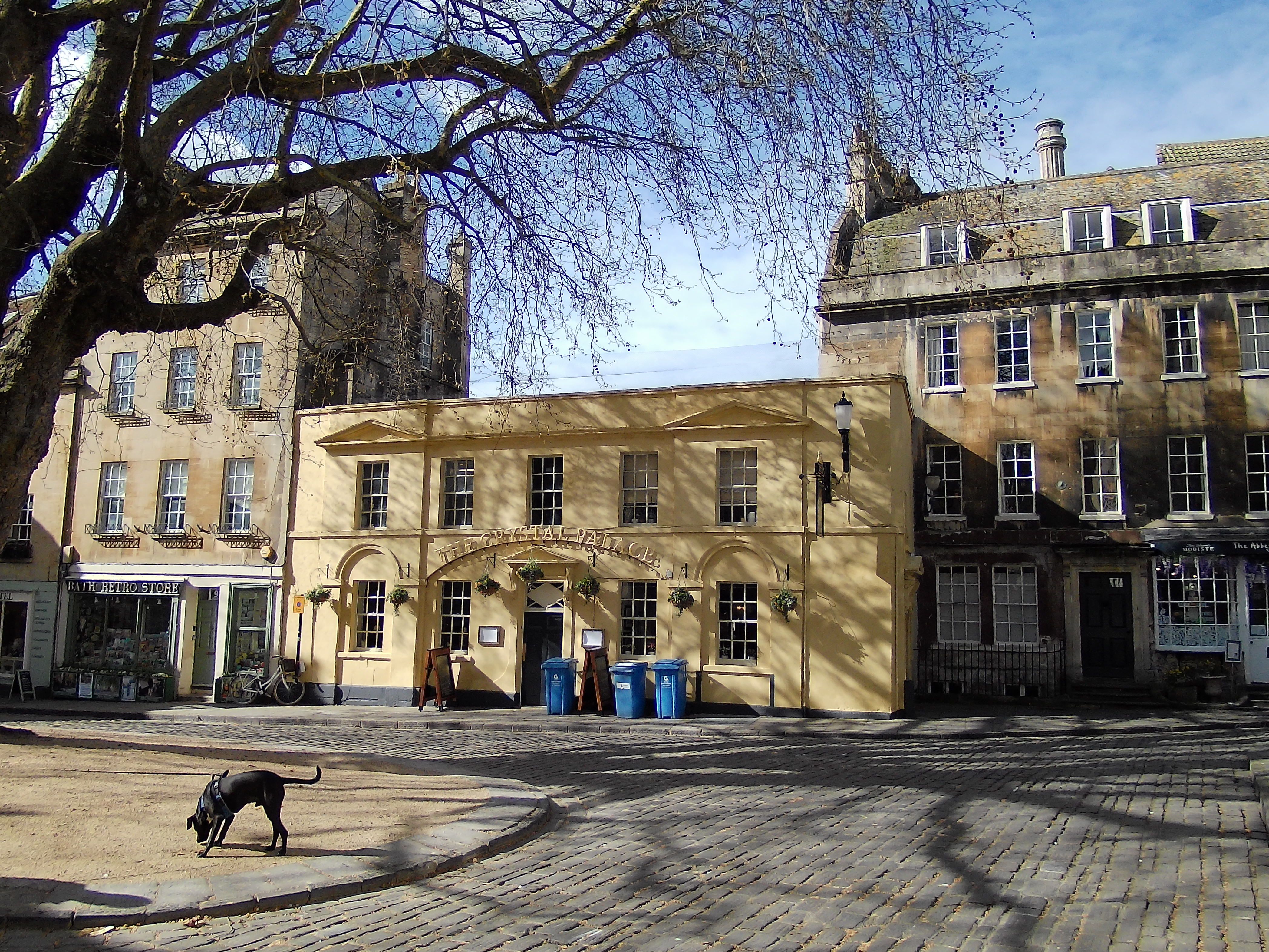 Yashica FX-D 100 sample image