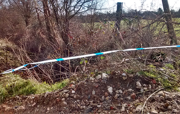 Dead-horse-dumped-in-a-ditch.jpg