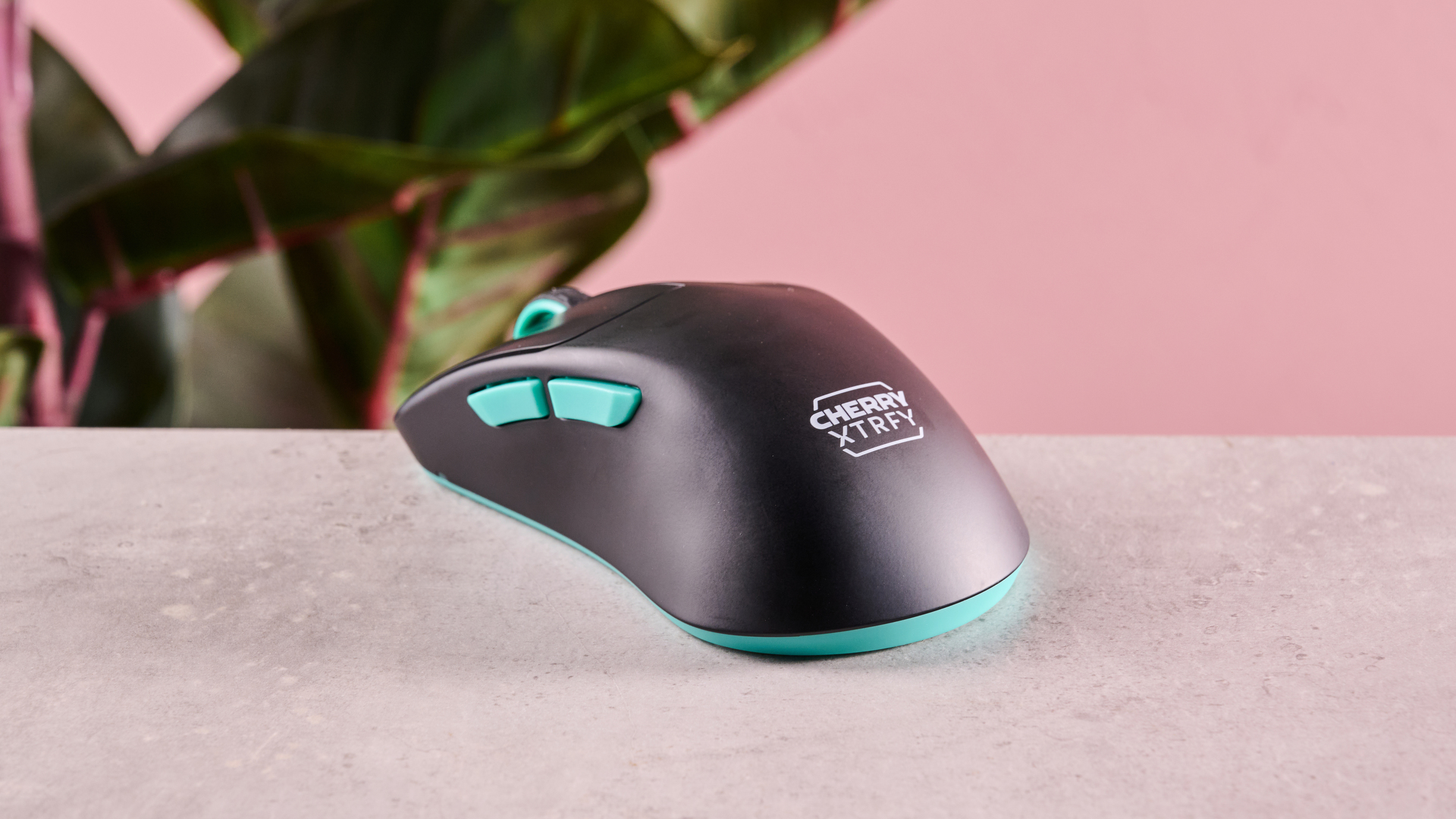 Cherry XTRFY M64 wireless back with pink background and plants on the table