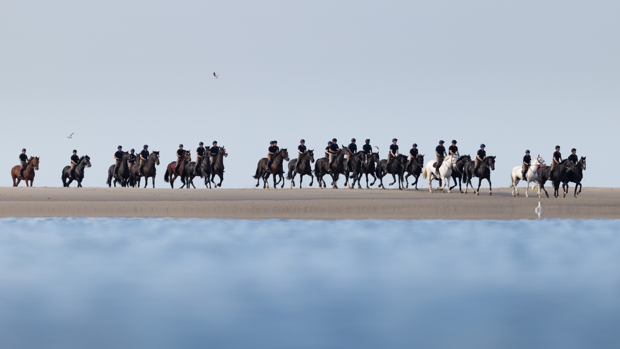 Soldiers and horses from the Household Cavalry Mounted Regiment at Hayling Island beach on Friday 3 July 2026