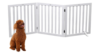 a dog by a white wooden pet gate