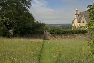 rewilding: meadow with grass pathway