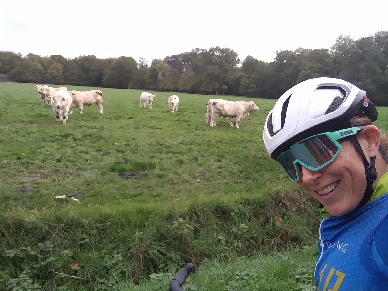 Just me and the cows before Koppenbergcross