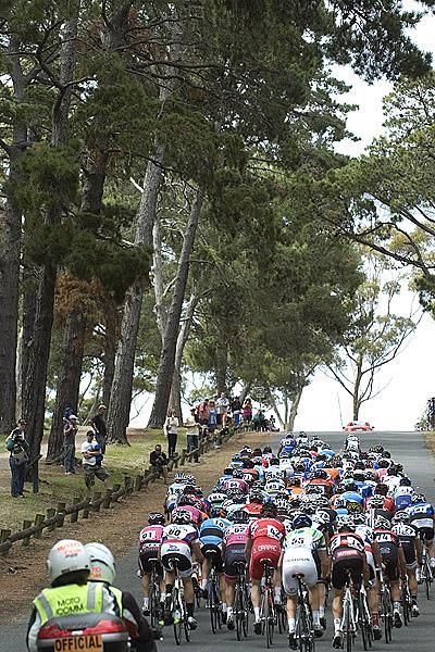 The peloton beneath the trees around the back of the course in Geelong's Eastern Gardens.