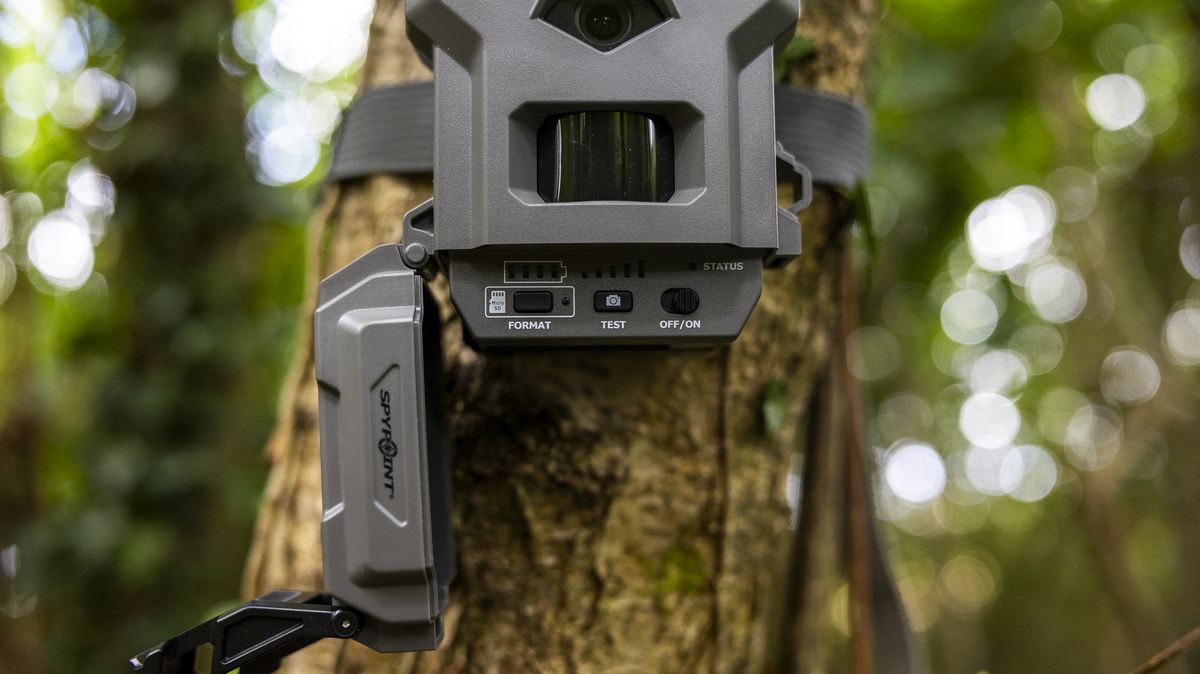 The Spypoint FLEX-S-Dark trail camera in a woodland