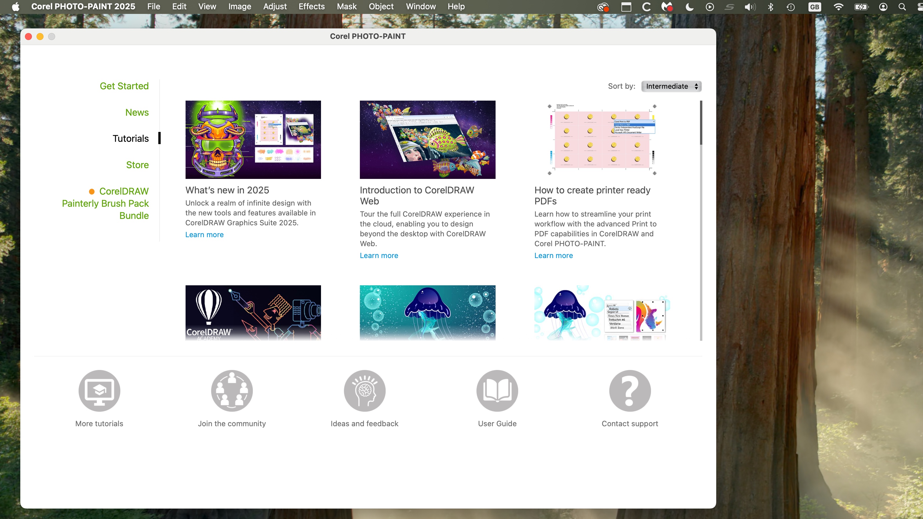 CorelDRAW Graphics Suite 2025 during our review
