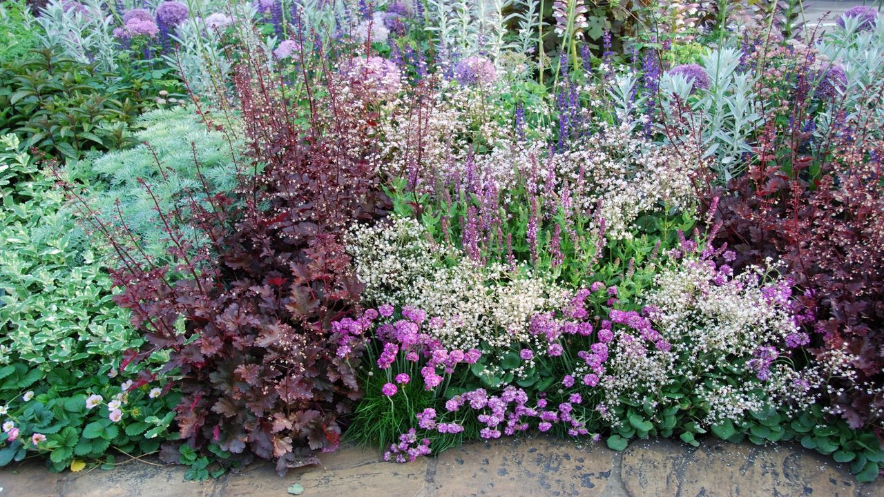 Knowing how to plant a scented border will give your yard year-round perfume and interest