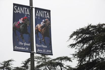 Flags at Santa Anita Park.