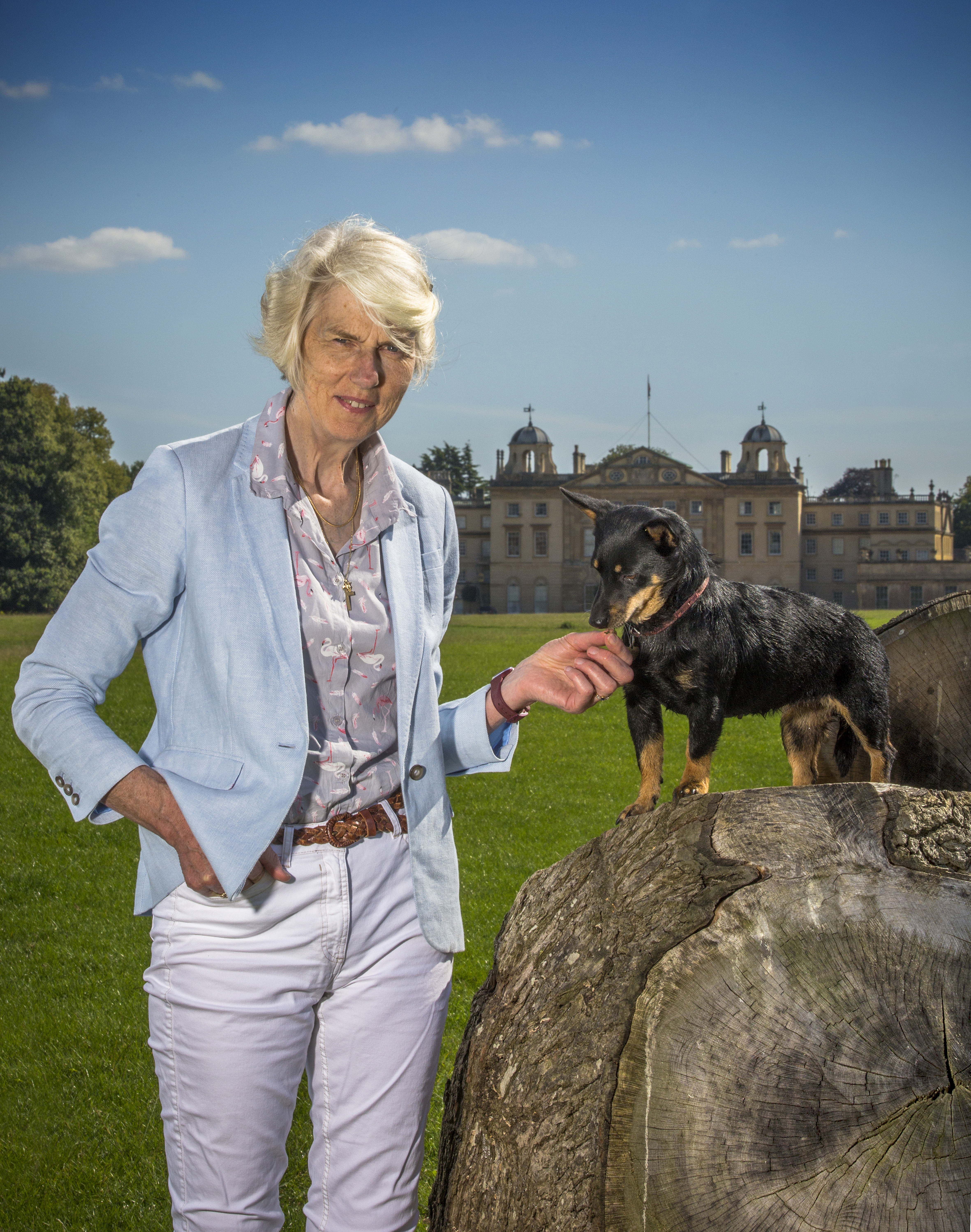 Four photos showing a woman with short white hair and a small black and tan Lancashire Heeler spending time together outdoors on a sunny day. They are pictured in front of a stately home, sitting on and beside large tree trunks, standing on grass terraces, and relaxing in long grass, capturing their close bond and the scenic surroundings.
