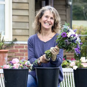 Rose care and growing guide: how to grow roses like an expert