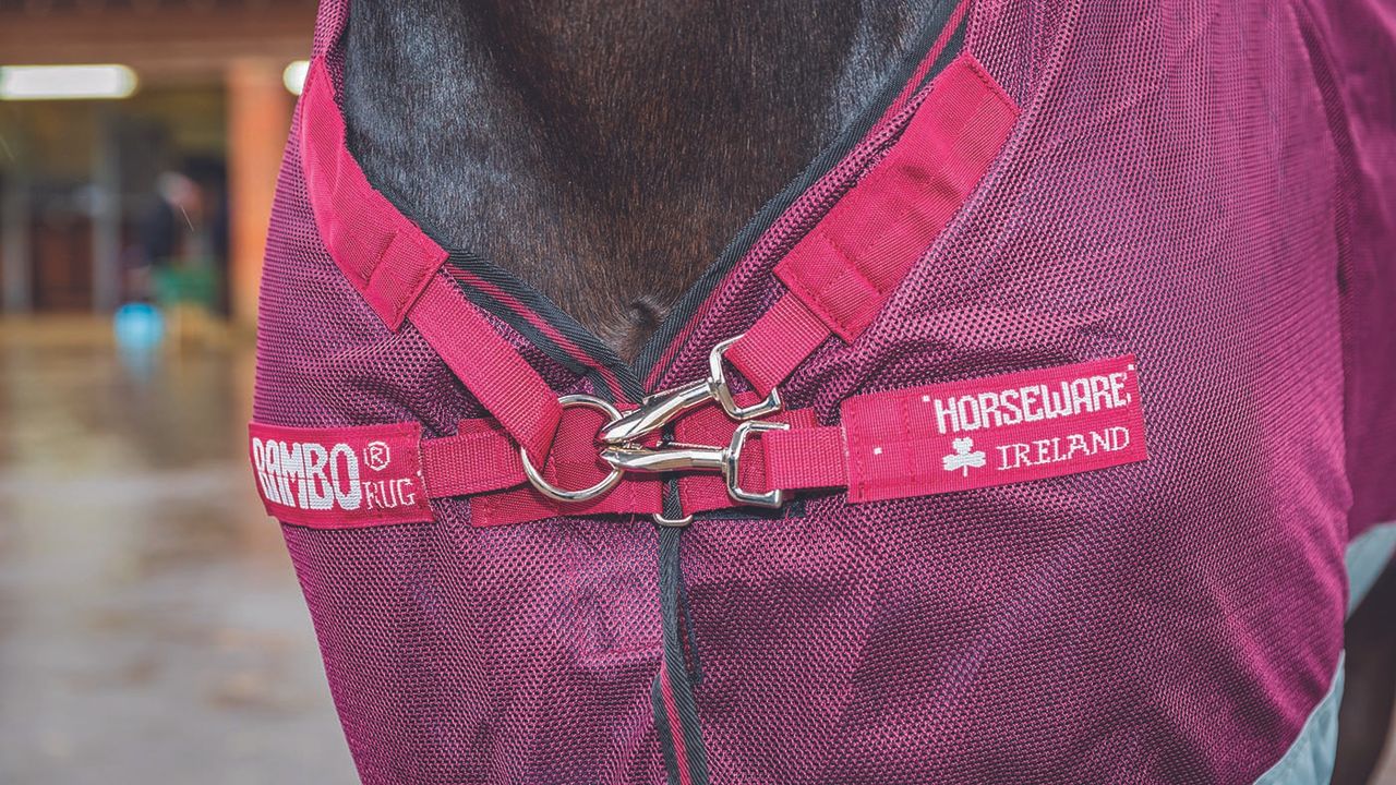 Horseware Rambo Summer Series&nbsp;review