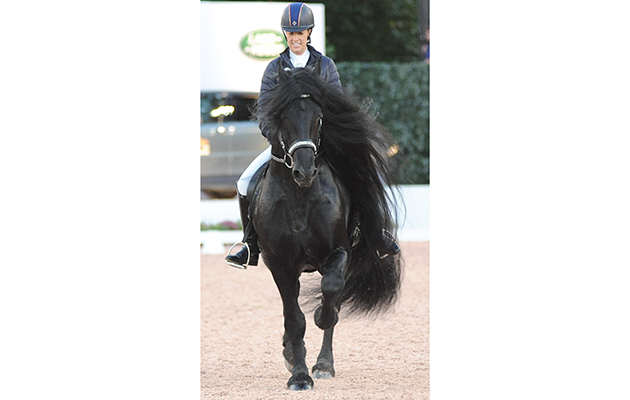 Valegro in New York