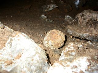 A piece of fossilized poo in a cave. 
