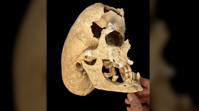 a person holds a fragmented and unusually long human skull against a black background