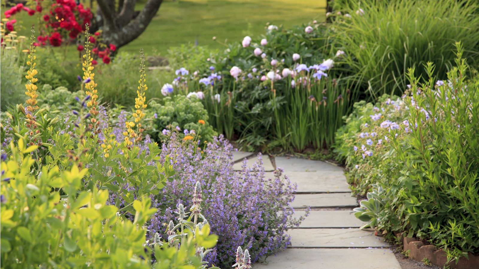 Paving Planting is a Design Trick Pros Love to Soften Garden Paths – Creating a Natural Transition From Home to Yard