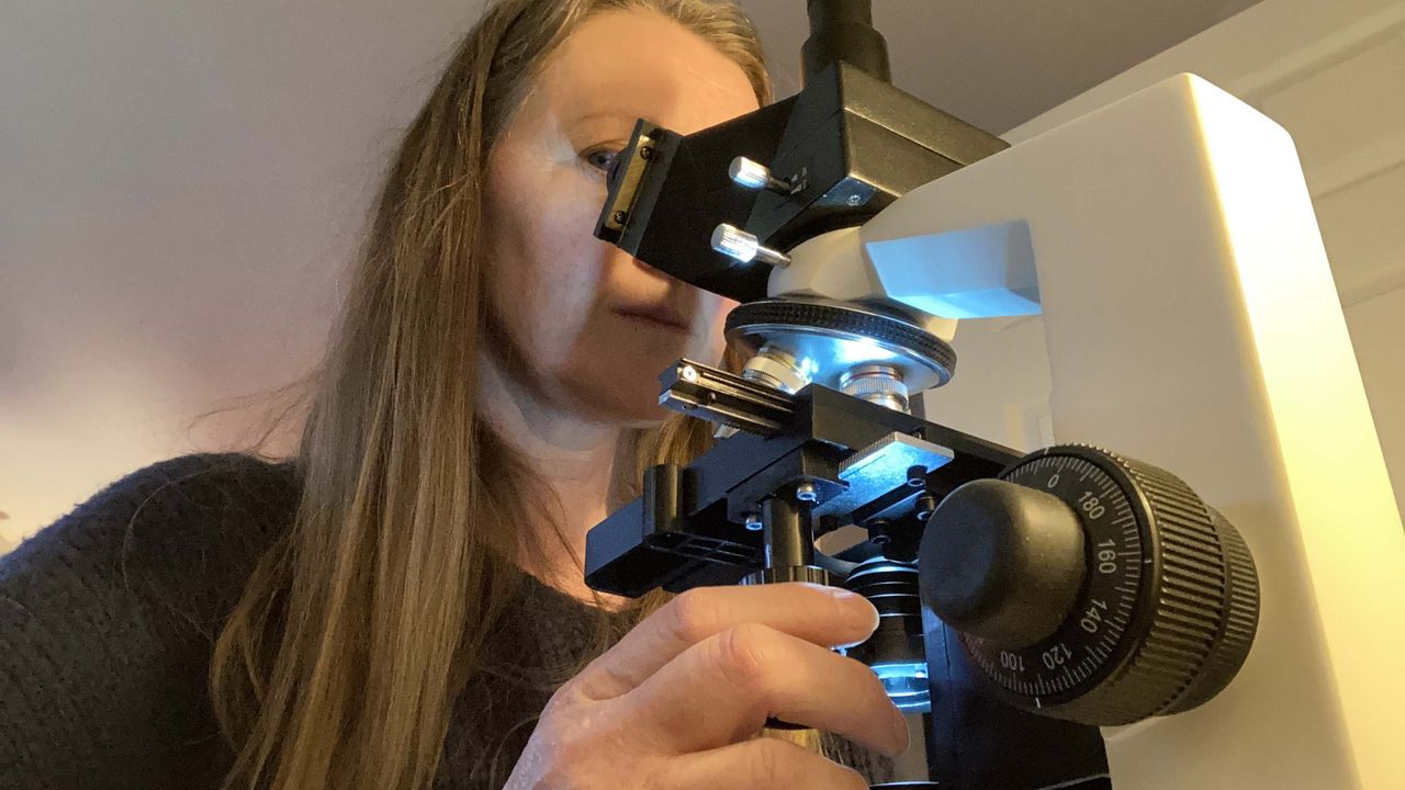 Celestron Labs CB2000C Advanced Biological Trinocular Microscope
