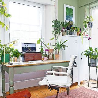 Home office with wooden desk, green walls and houseplants