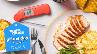 Thermopen One meat thermometer