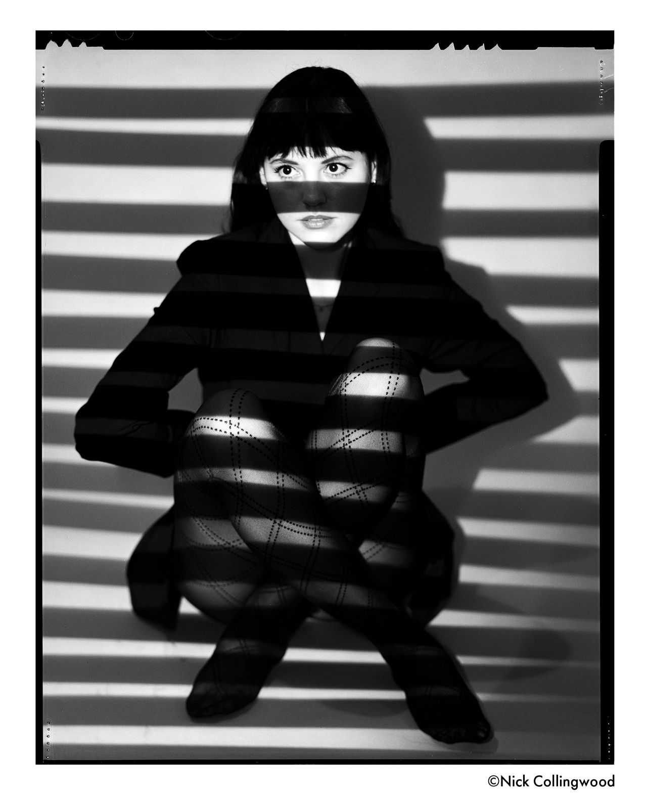 Ilford Pan F Plus in sheet film
