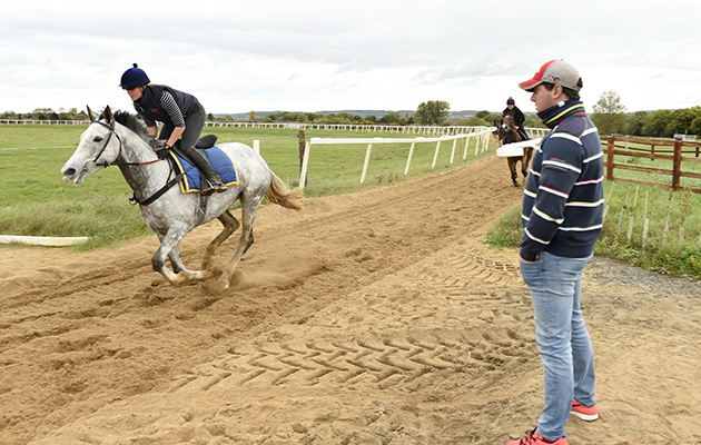 On the gallops