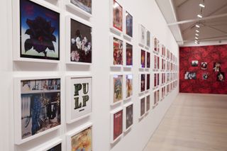 Museum exhibit on flowers