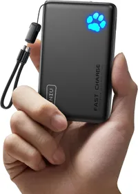 INIU  Power Bank (10000mAh)
