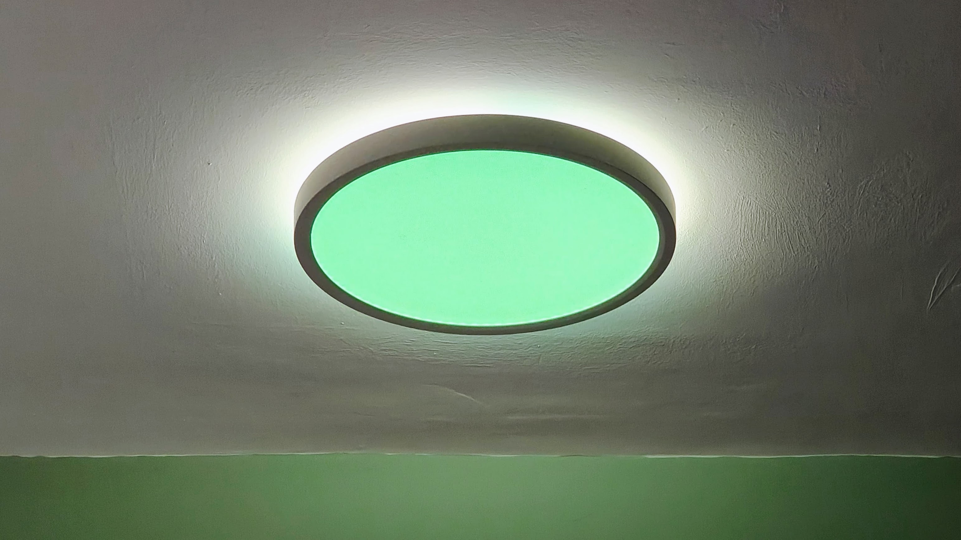 Govee Ceiling Light