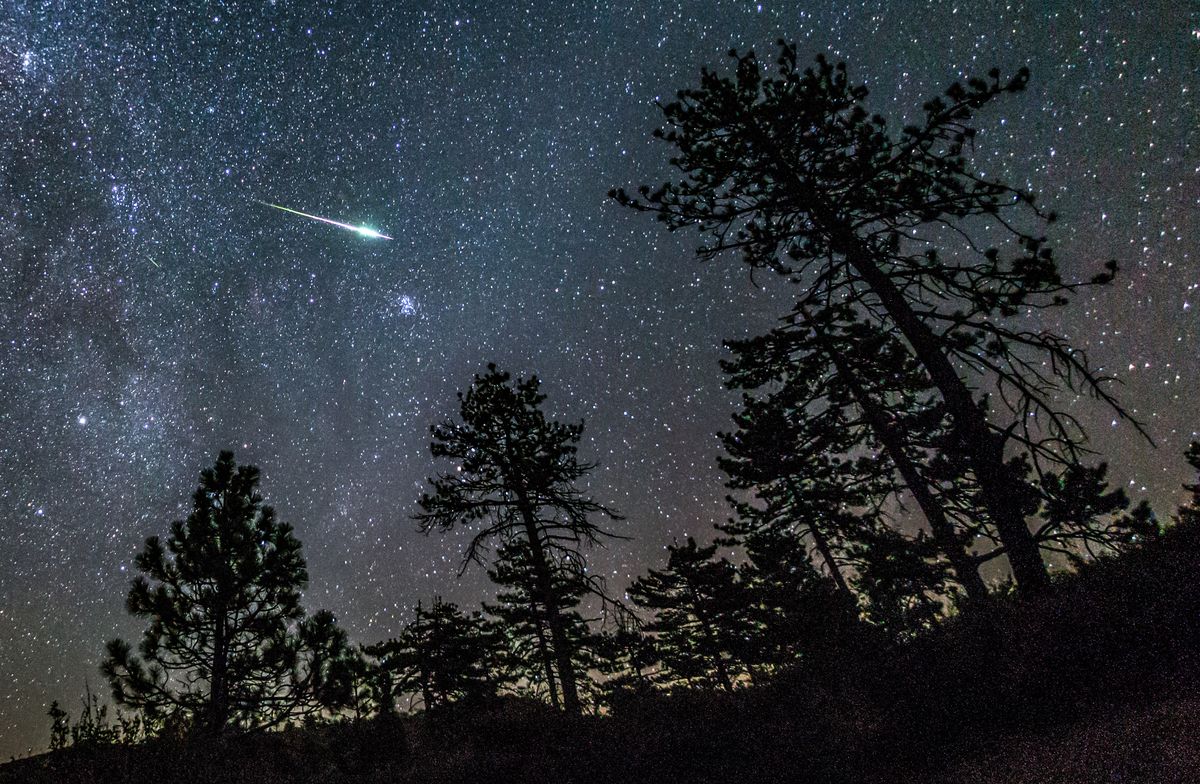 A meteor from the 2016 Perseid meteor shower streaks across the night sky above some pine trees in the Cleveland National Forest. Mount Laguna, San Diego County, California. USA