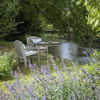 coffee table in woodland near canal