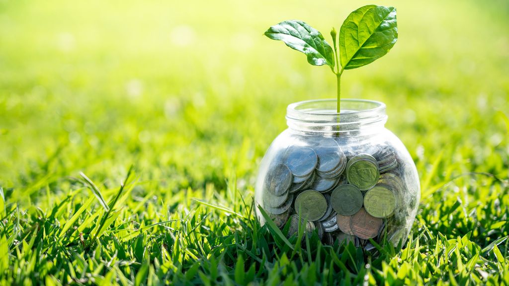 year-end-529-plan-contribution-deadlines-approaching-kiplinger