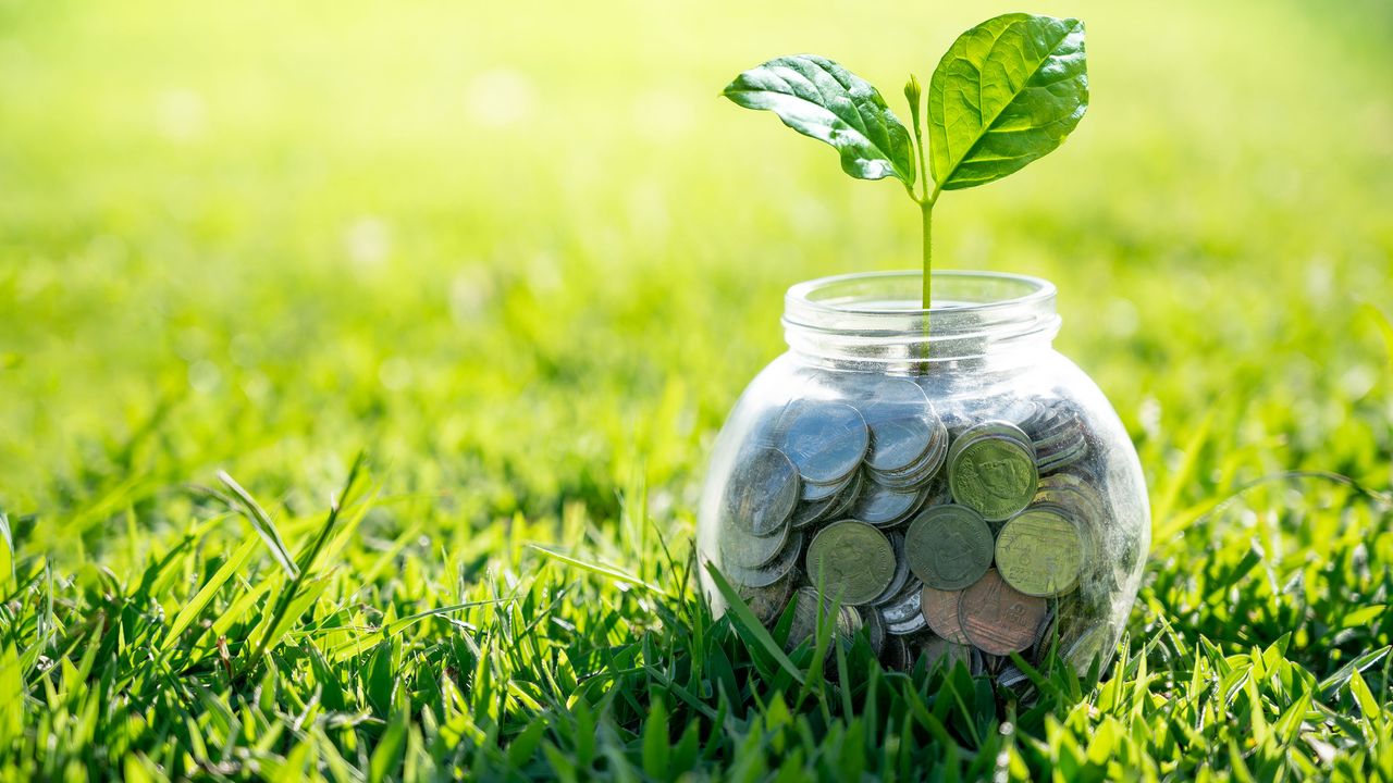 jar of coins on grass