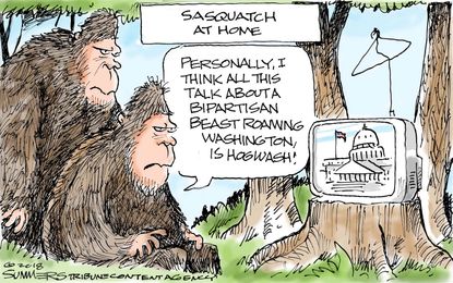 Political cartoon U.S. Congress gun control bipartisan skepticism