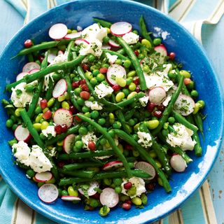 Mixed Bean Salad with Radish Pomegranate and Fresh Goats Cheese