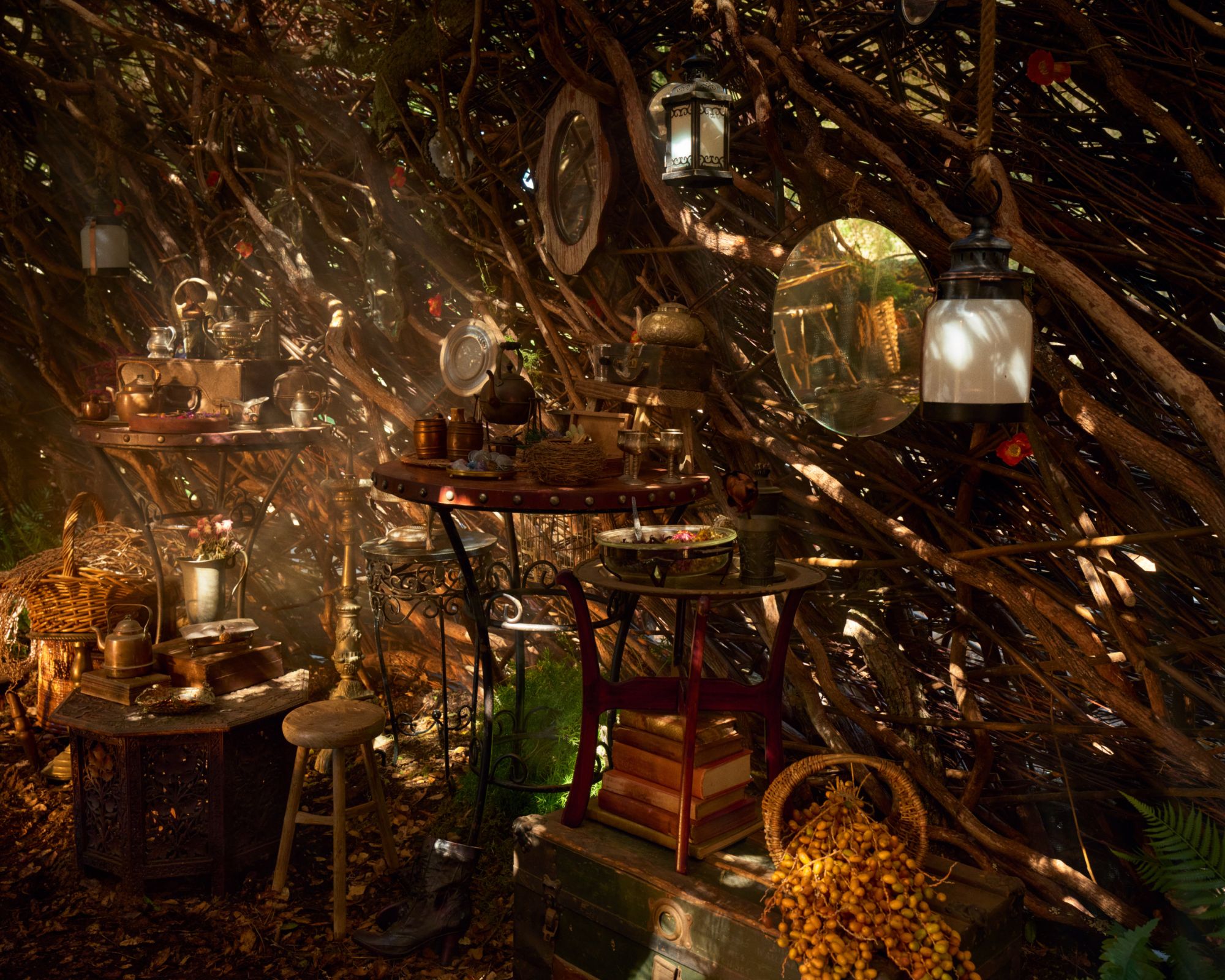 elphaba&#039;s treatreat from airbnb