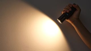 A handheld flashlight studio fill light.