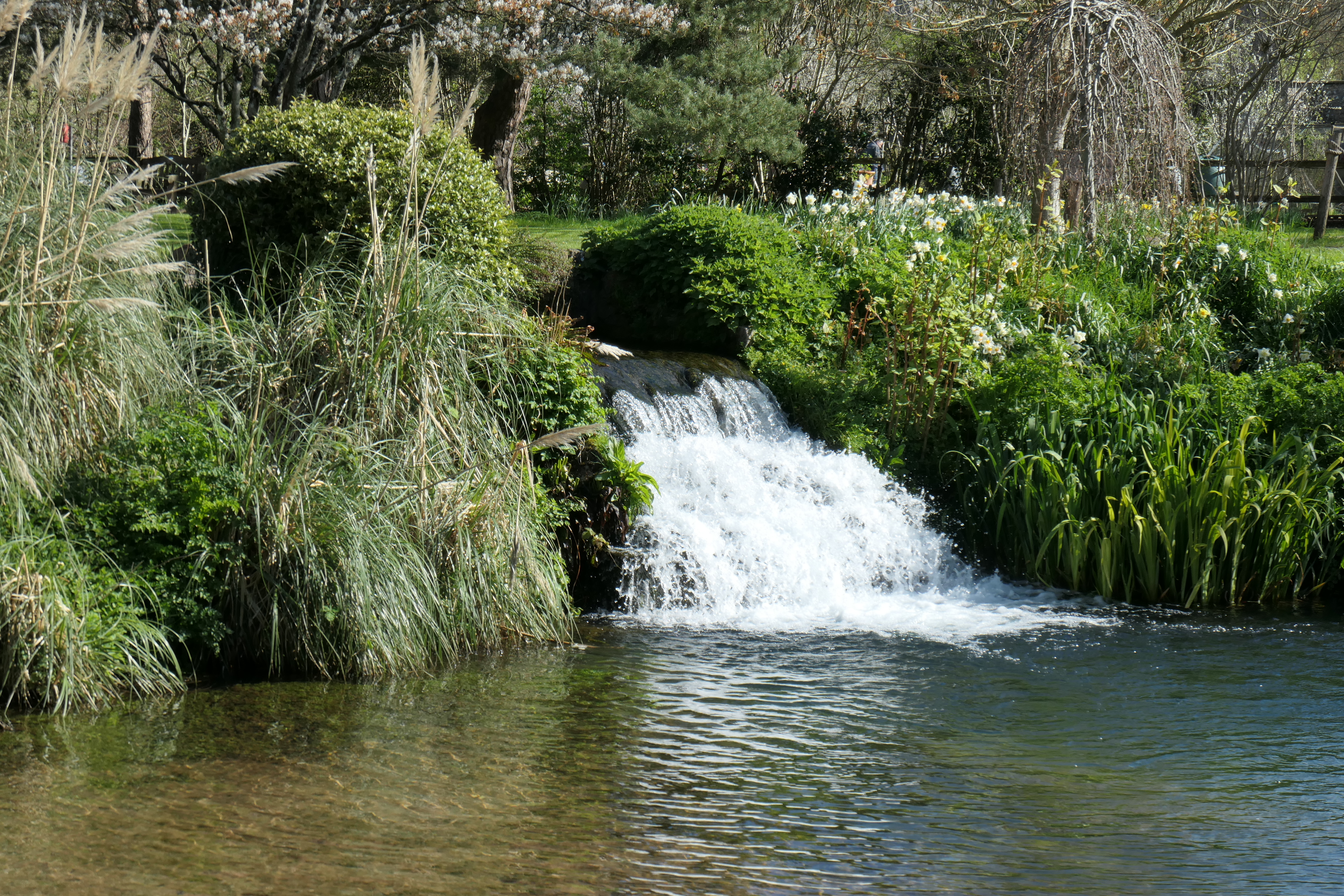 Panasonic Lumix ZS300 / TZ300 sample image