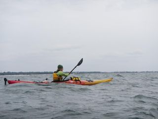 Kayaking in the Gulf of Mexico, December 2012.