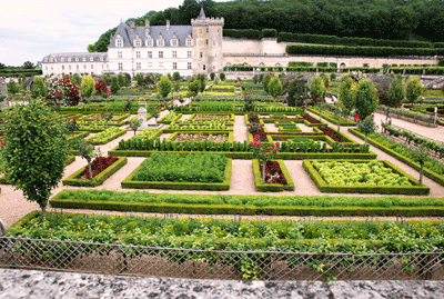 Villandry-Potager-Gardens.gif