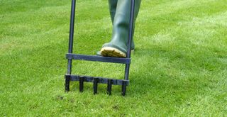 person using a tool aerating grass to support an article on how often should you aerate your lawn
