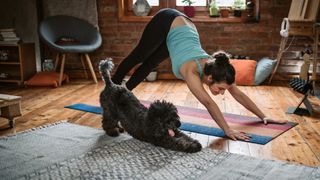 Dog doing yoga with woman