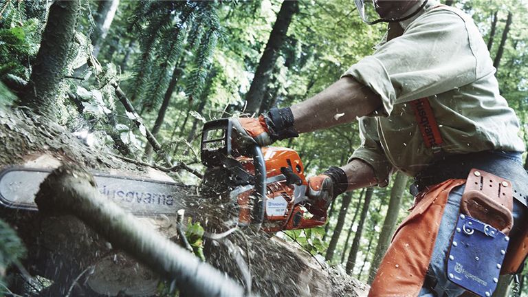 Best Chainsaws 2019 Remove Unwanted Trees And Branches