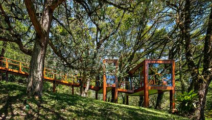 treehouse in brazil seen through the woods