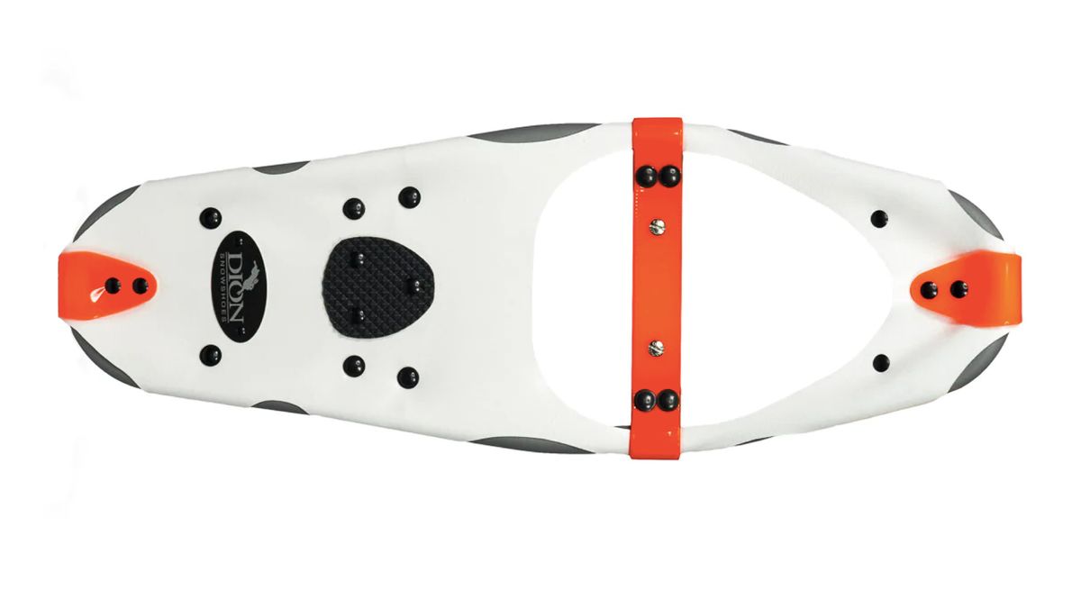 Dion Model 121 snowshoes review Advnture