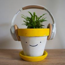 A houseplant in a yellow and white pot with a smiley face drawn on it. Headphones are mounted on the pot.