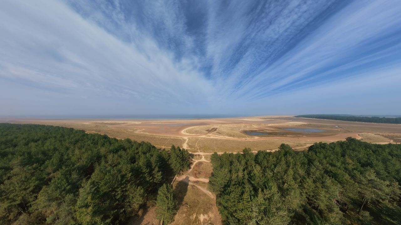 Photo of trees and a beach taken with the DJI Avata 360